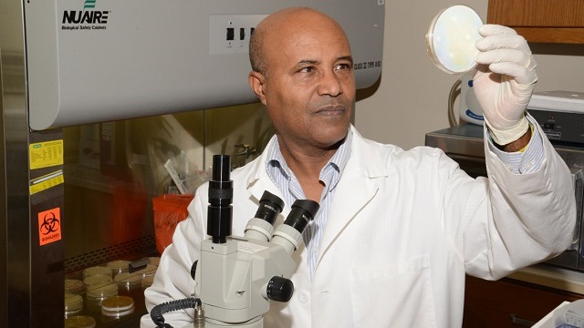 Dr. Teshome Yehualaeshet of Tuskegee University leads a team of researchers who discovered and patented a faster, more efficient and more accurate way to detect harmful bacteria in food. (Tuskegee University)