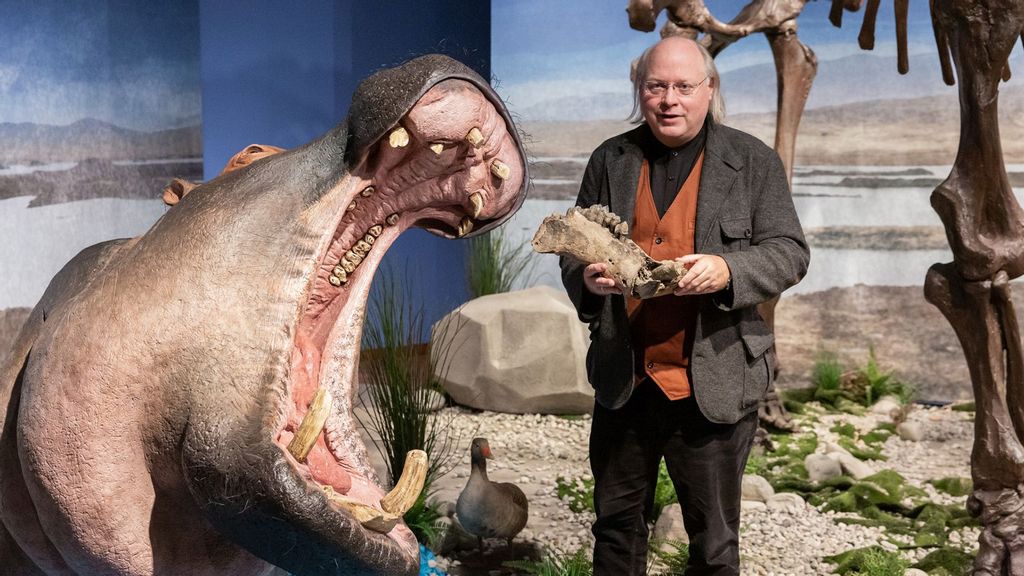 Wilfried Rosendahl, director-general of the Reiss Engelhorn Museum in Germany, unveils the lifelike reconstruction of a hippopotamus for the Ice Age Safari exhibit. (REM, Rebecca Kind/Zenger)