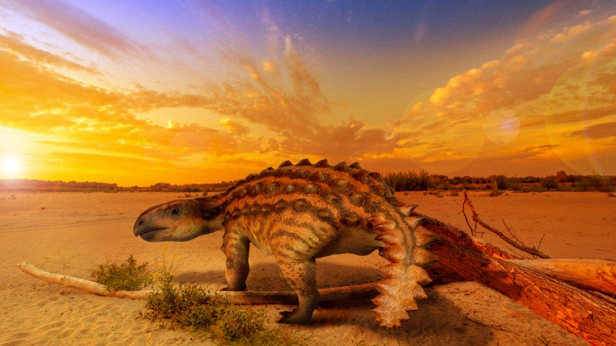 An artist's reconstruction of the appearance of the new species of armored dinosaur, Stegouros elengassen, found in the Rio de las Chinas valley in Chilean Patagonia. (Luis Perez Lopez/Zenger)