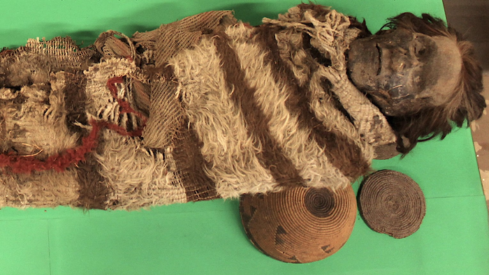 A mummy of the Ansilta people of the Andes Mountains had head lice that cemented nits to hair, encasing DNA that offers clues about human migration 1,500 to 2,000 years ago. (Courtesy San Juan National University, Argentina)
