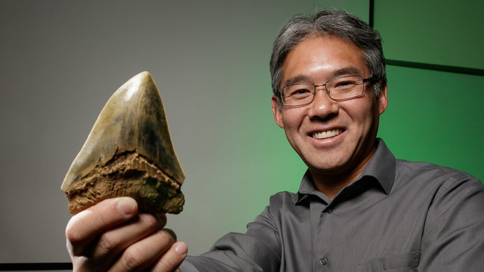Paleobiologist Kenshu Shimada holds a fossilized megalodon tooth. (DePaul University)
