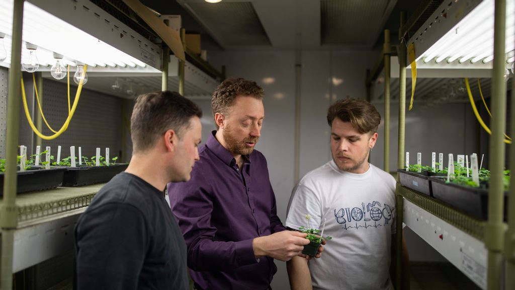 Rob Ness, Marc Johnson and their PhD student James Santangelo led a study, supported by GLUE, to examine the effects that humans have had on the evolution of plants and animals. Almost 300 scientists from around the world coordinated on the project. (Zenger News)