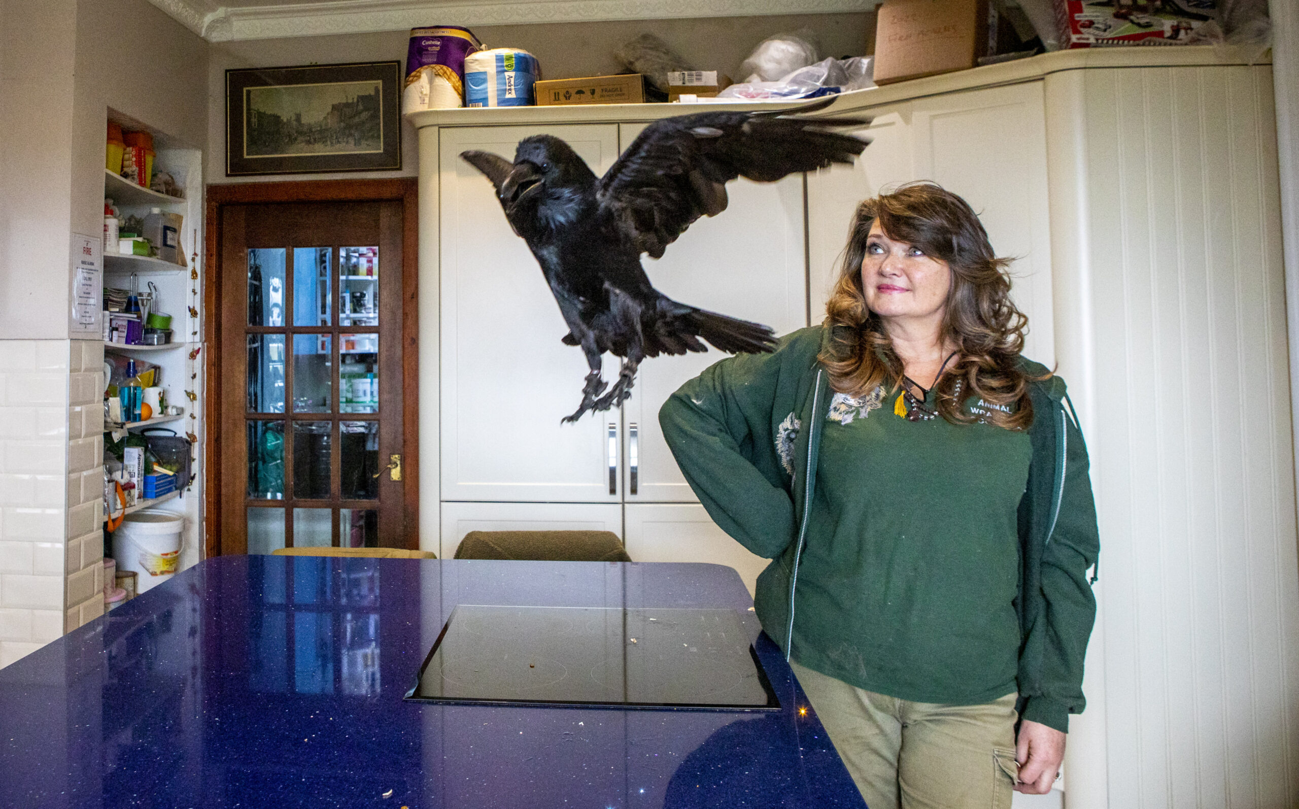 Animal wrangler Bozena Bienkowska coaxes perfect performances from her pets, including a raven and wolf-hybrid, to star in films and on TV. (Katielee Arrowsmith/Zenger)