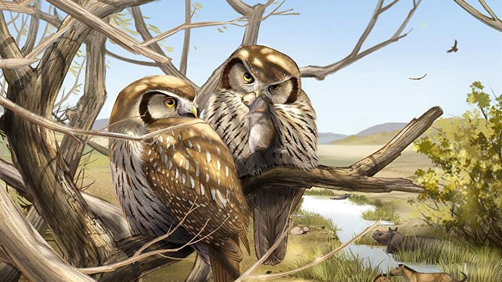 Reconstruction of the extinct owl Miosurnia diurna perched in a tree with its last meal of a small rodent, overlooking extinct three-toed horses and rhinos with the rising Tibetan Plateau on the horizon. (IVPP, Zheng Qiuyang/Zenger)