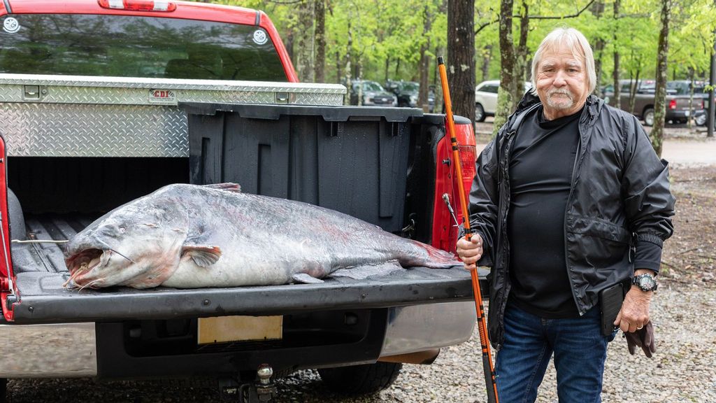 Angler Eugene Cronley caught the 59 kilogramme fish, both pictured, on 7th April,2022, in the Mississippi River near Natchez, Mississippi. (@mdwfp/Zenger)