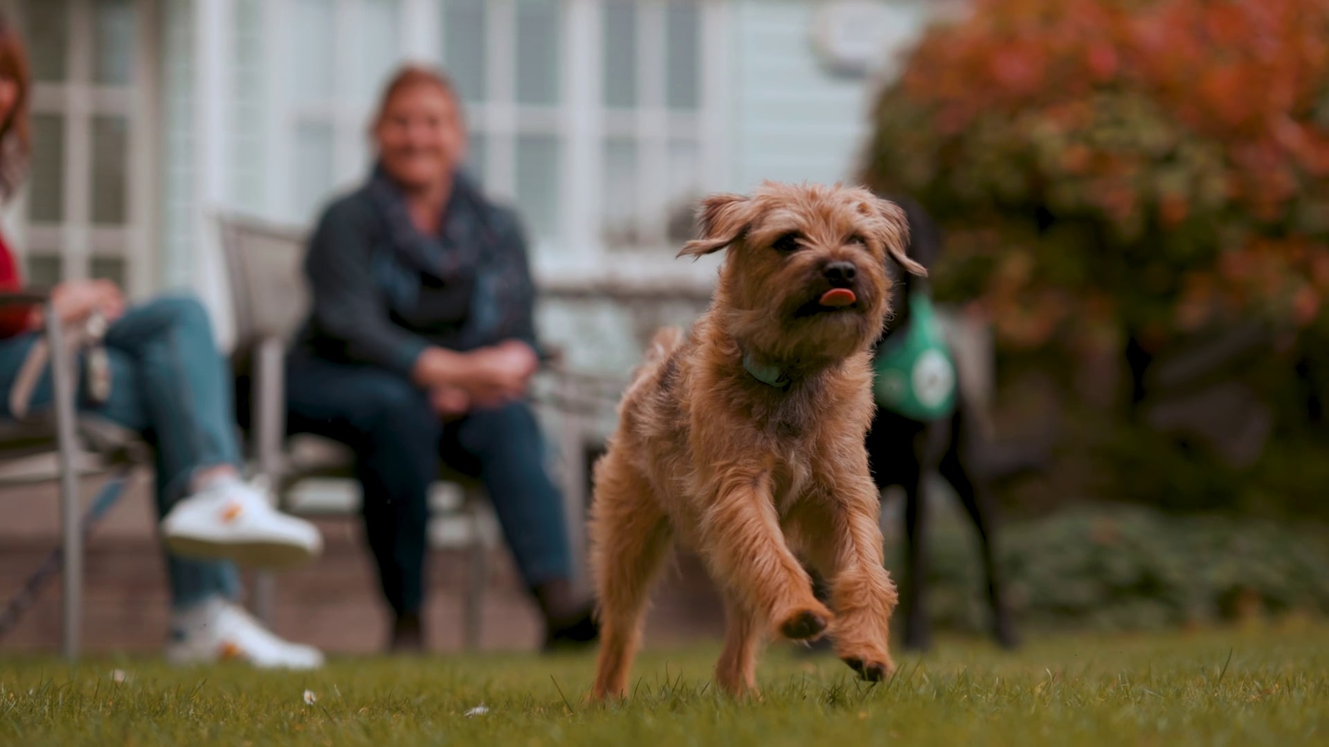 Dog owners are ‘happier’ than those without a four-legged companion, according to a report. (Jon Mills/Zenger)
