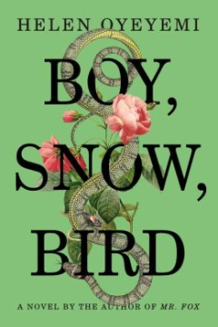 BOOK NEWS boy snow bird