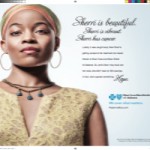 Blue Cross Blue Shield