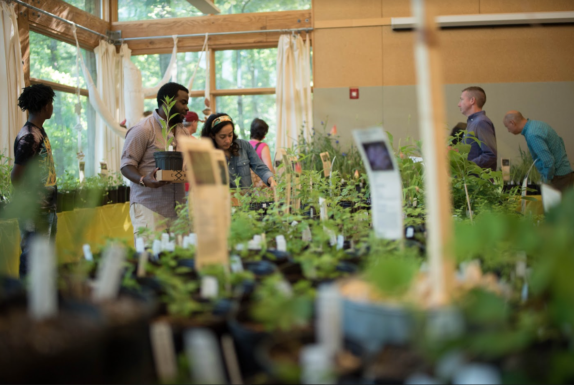 The City of Birmingham Celebrates Landscape Architecture Month