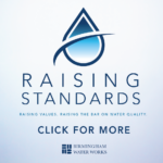 300x250_BWW_RaisingStandards-01 copy_preview