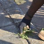 Clover Moore Cleans Up Neighborhood