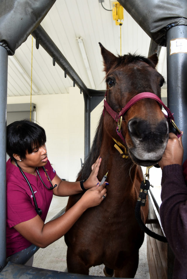How Tuskegee U. educates 70 of AfricanAmerican veterinarians in the U