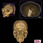 Newsflash-AtapuercaEvidences-01