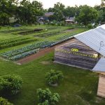 CommunityGarden 1