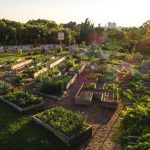 CommunityGarden 2