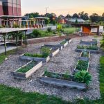 CommunityGarden 3