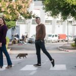 Surprise Discovery May Lead To Affordable Cultivated Steak