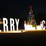 Christmas Lights 2021