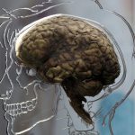 First Recording Of A Dying Human Brain Points To Memory Flashbacks