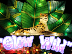 PEOPLE, PLACES & THINGS