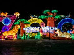 PEOPLE, PLACES & THINGS