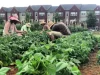 City of Birmingham, Jones Valley Teaching Farm, Awards $100,000 to Local Urban Farmers
