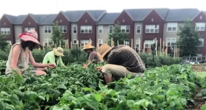 City of Birmingham, Jones Valley Teaching Farm, Awards $100,000 to Local Urban Farmers