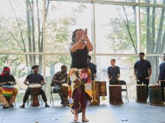 A Celebration of Culture and Connection: African Heritage Festival Returns to the Birmingham Museum of Art